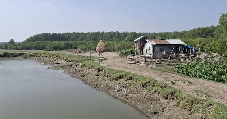 হাতিয়ার একটি চর